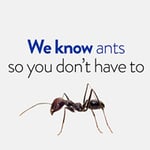 Termitrust Pest Control Experts - Pic 8