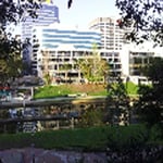 Our offices at 96 Phillip Street, Parramatta, view from the Parramatta River