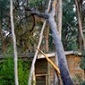 Biota Group - Pic 1
