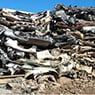 Car Bodies