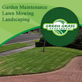Green Grass Management - Promotion