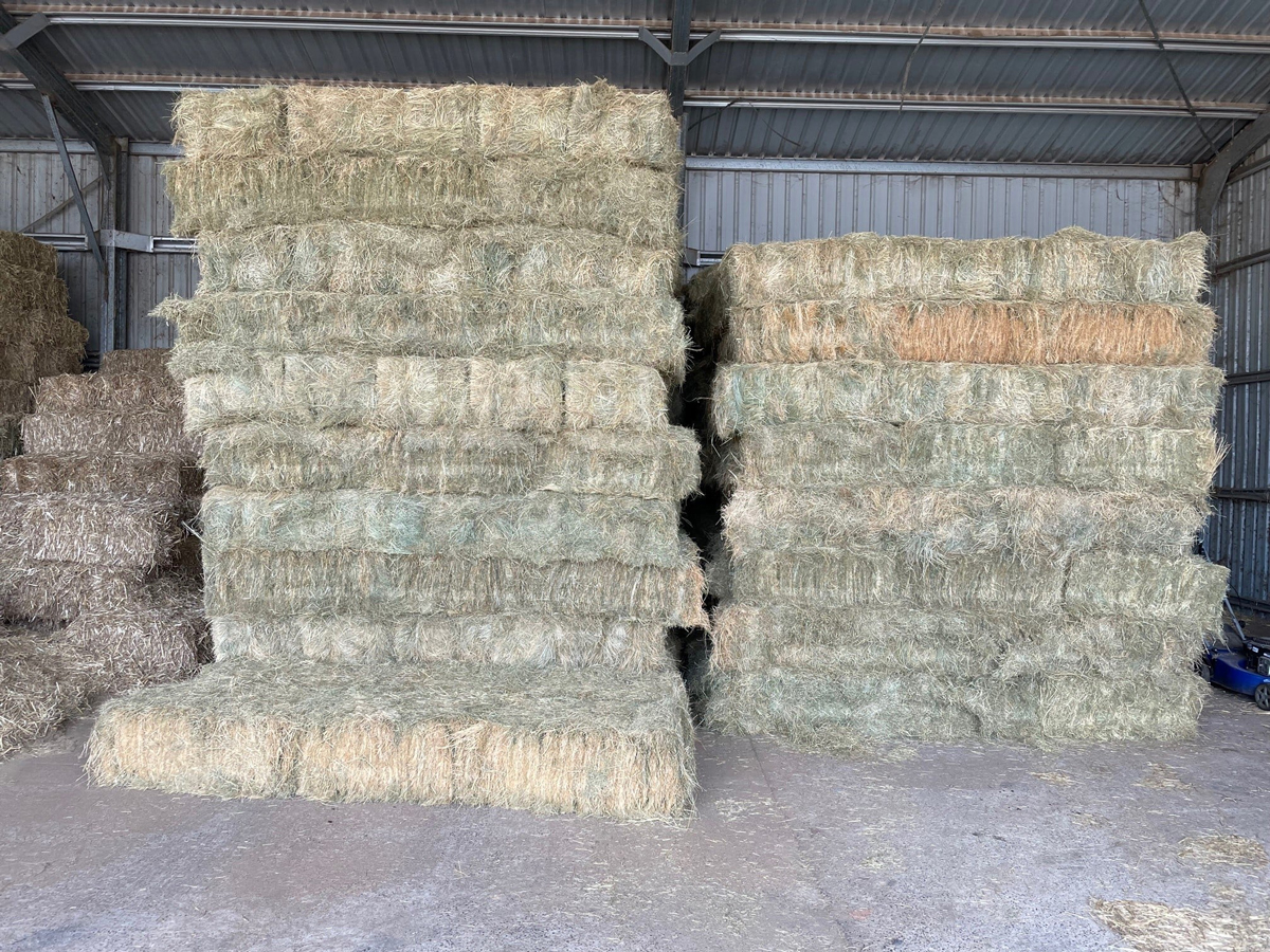 Dubbo Pet & Stock Feeds Pet Supplies & Pet Food 814 Janali Rd, Dubbo