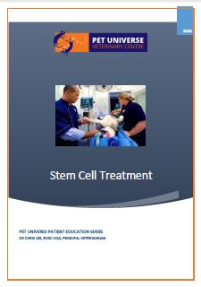 Stem Cell Treatment