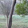 Biota Group - Pic 6