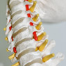 Pioneer Family Chiropractic - Pic 3