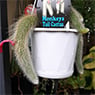 Garden Treasure Yarragon - Pic 10