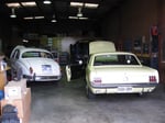 Vehikool Automotive - Jaguar and Ford Mustang being Worked on in our Workshop