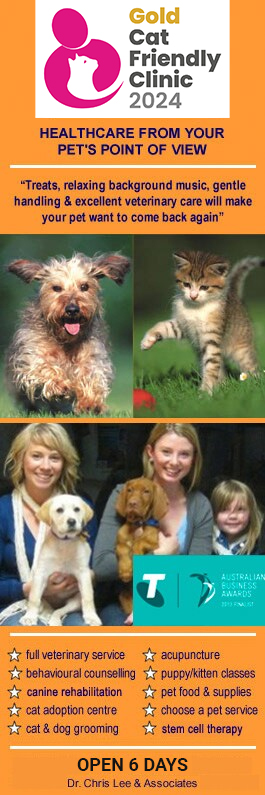 Pet Universe Vets - Promotion