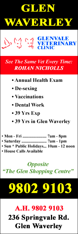 Glenvale Veterinary Clinic - Promotion
