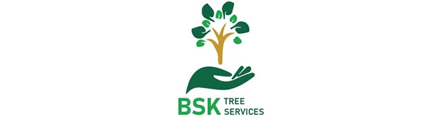 BSK Tree Services Pty Ltd - logo