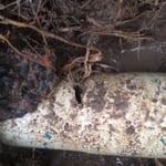 Top to Bottom Plumbing - Pic 8