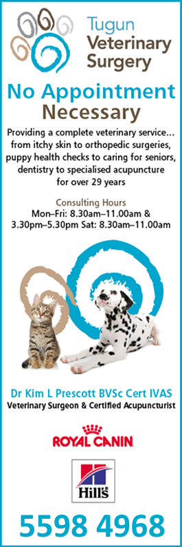 Tugun Veterinary Surgery - Promotion