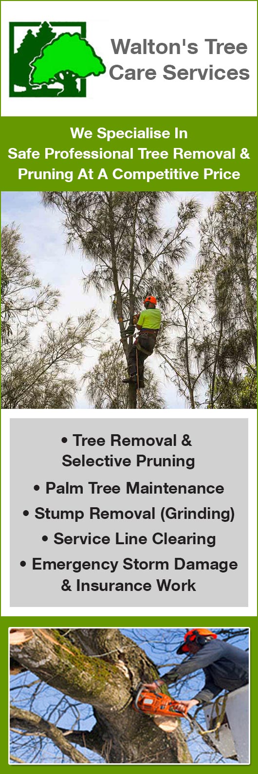 Walton's Tree Care Services - Promotion