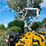 Cut Above Tree Care (Aust) Pty Ltd - Pic 8