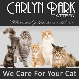 Carlyn Park Cattery - Promotion