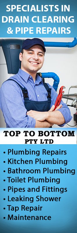 Top To Bottom Pty Ltd - Promotion