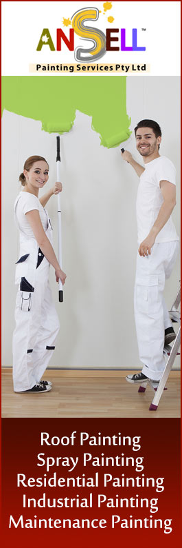 Ansell Painting Services - Promotion