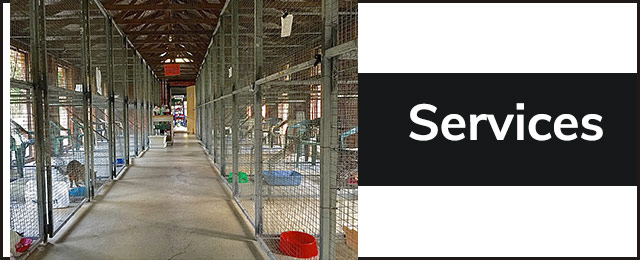 Glenhaven Boarding Cattery - Promotion 2