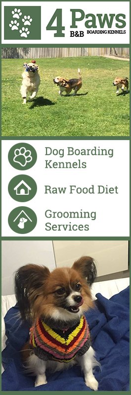 4 Paws B & B Boarding Kennel - Promotion