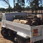 Blue Shovel Earthmoving - Pic 5