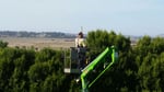 Aussie Tree Fellers - Pic 2