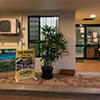 Tropic Towers - Pic 9