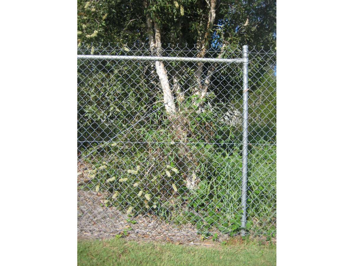 Fencescape Fencing Gladstone Fencing Contractor Gladstone