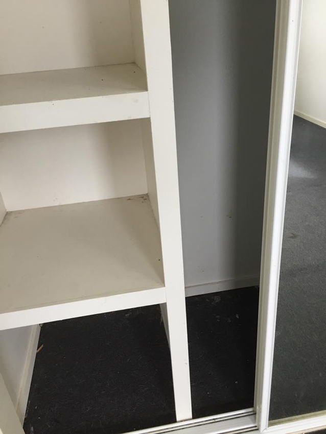 Gympie Pest Control Carpet Cleaning & Protection 8 Jasmine Ave