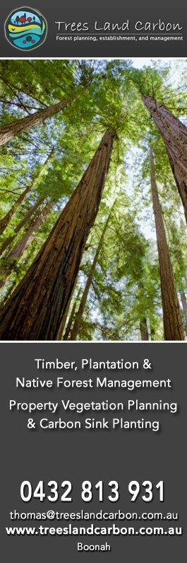 Trees Land Carbon - Promotion
