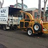 MSZ Tree Lopping Service - Pic 3