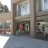 Shire Sports Physiotherapy - Pic 4