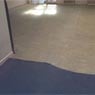 Cetta Carpet Services - Pic 6