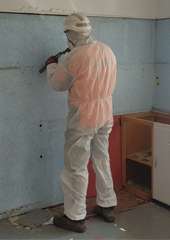 Asbestos Removal