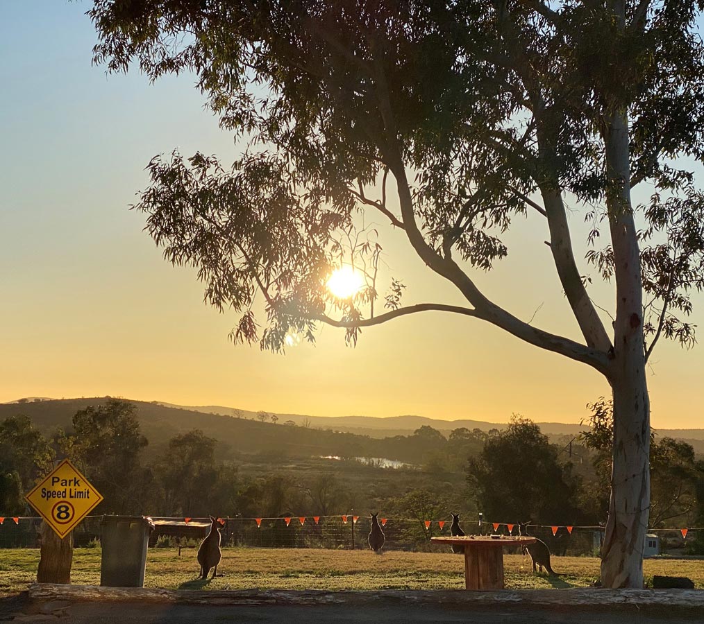 Lake View Broken Hill Caravan Park Caravan Parks Broken Hill Yellow Pages®