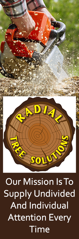 Radial Tree Solutions - Promotion