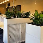 D&L Indoor Plant Hire & Garden Maintenance Pty Ltd - Pic 7