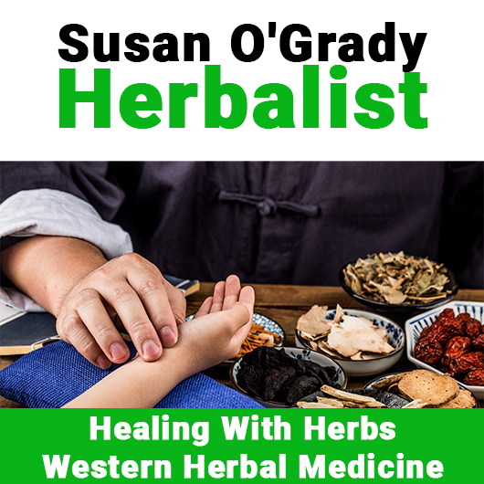 Susan O'Grady Herbalist - Promotion