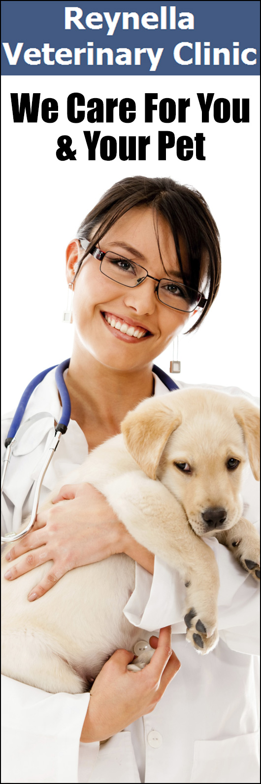 Reynella Veterinary Clinic - Promotion