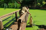 Broome Visitor Centre - Pic 4