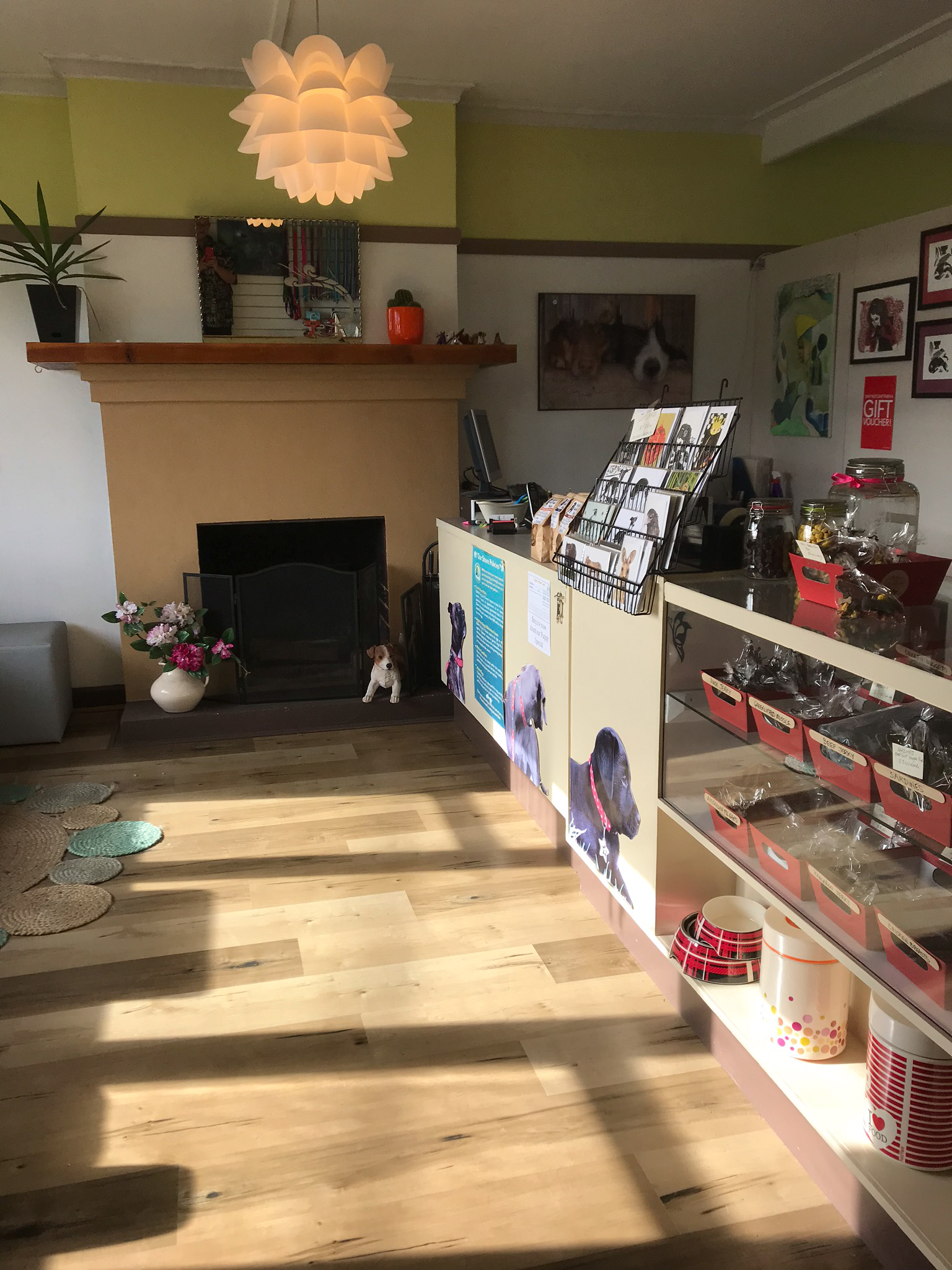 Bubbles Dog Spa & Groom Dog & Cat Clipping & Grooming 1698 Channel