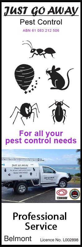 Just Go Away Pest Control - Promotion