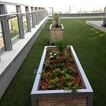 Project Landscaping - Pic 5