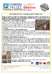 Top 5 Ways to Spot Water Leaks