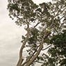 http://www.waratahprofessionaltreecare.com.au/