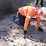 SEEC - Pic 6