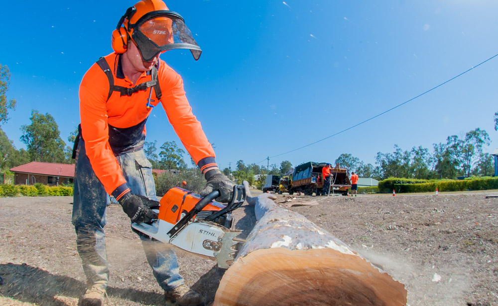 Mr. Trees Tree &amp; Stump Removal Services Ipswich